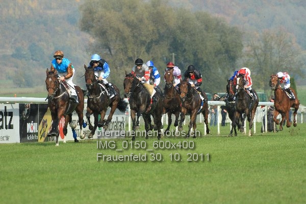 IMG 0150 600x400 prot