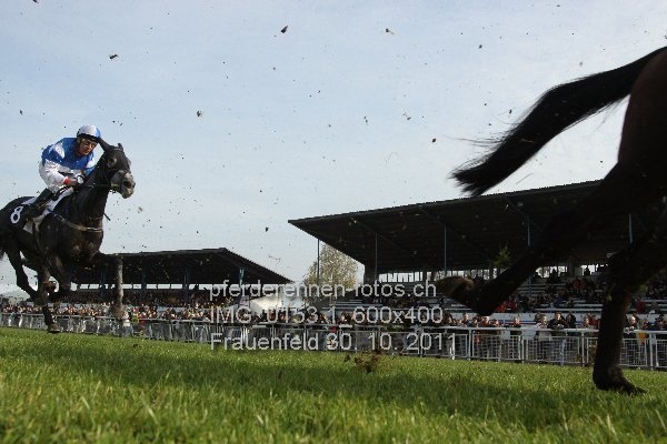 IMG 0153.1 600x400 prot