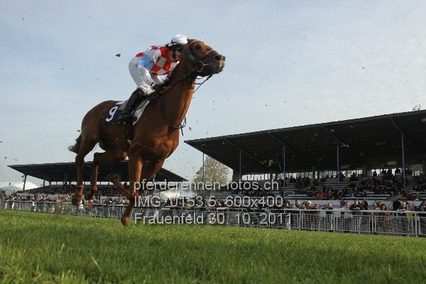 IMG 0153.5 600x400 prot