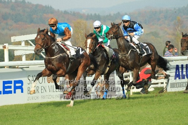 IMG 0155 600x400 prot