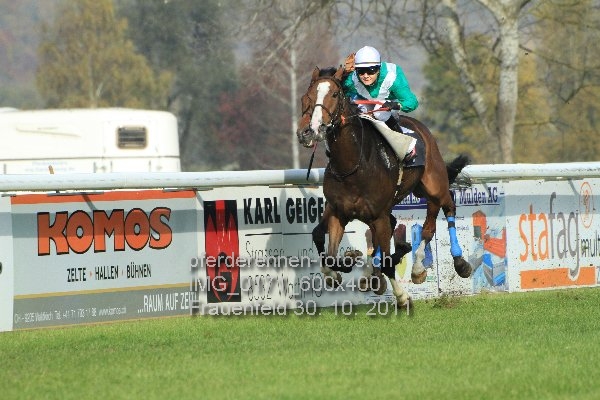 IMG 0171 600x400 prot