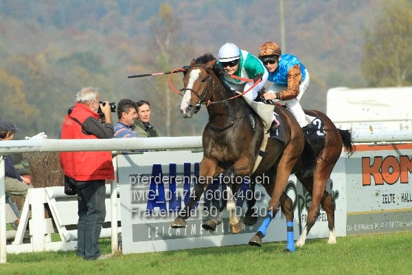 IMG 0174 600x400 prot
