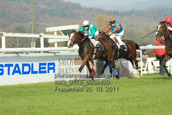 IMG 0175 600x400 prot
