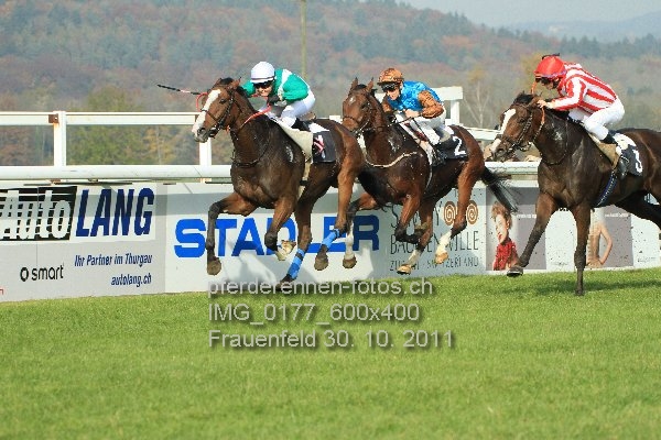 IMG 0177 600x400 prot
