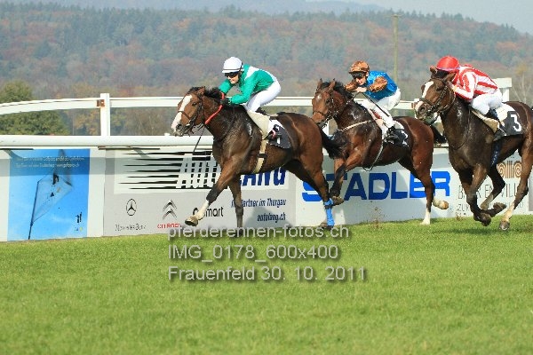 IMG 0178 600x400 prot