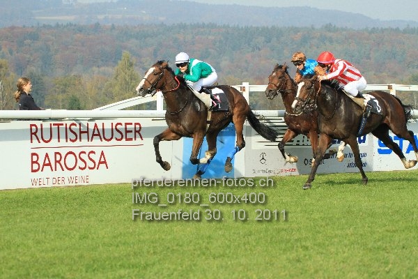 IMG 0180 600x400 prot
