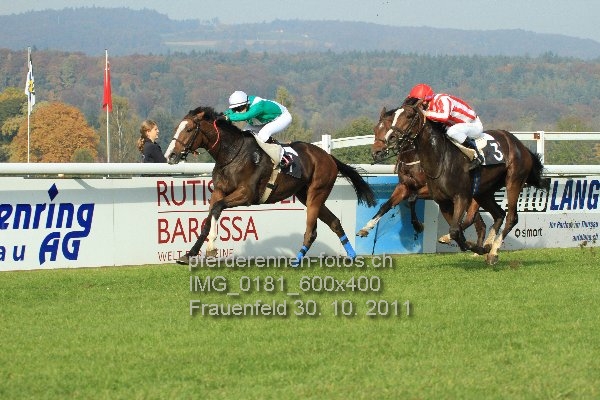 IMG 0181 600x400 prot
