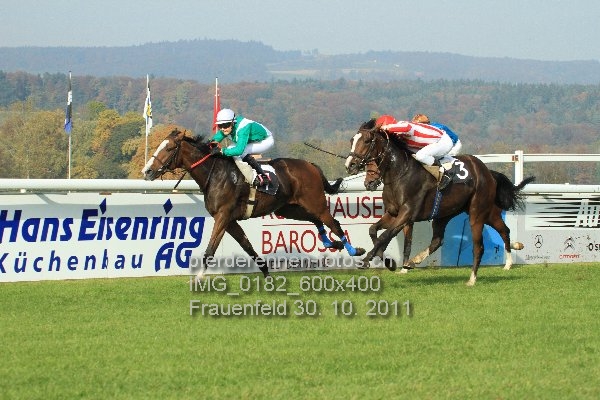 IMG 0182 600x400 prot