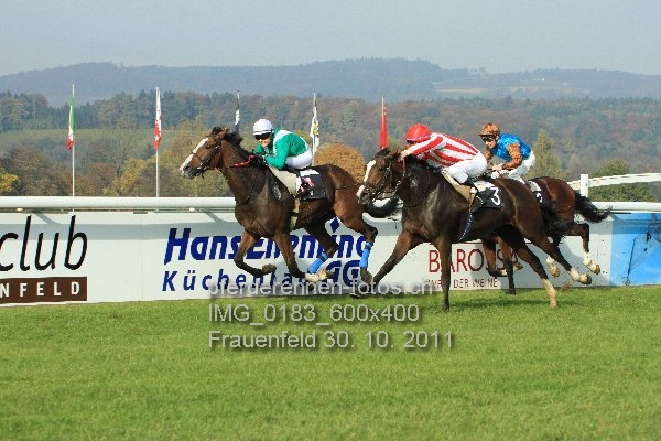 IMG 0183 600x400 prot