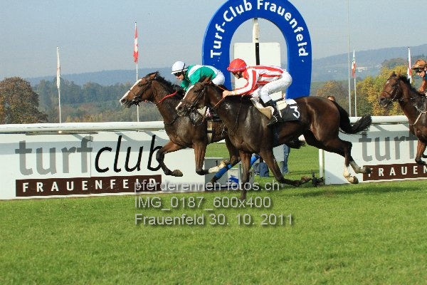 IMG 0187 600x400 prot
