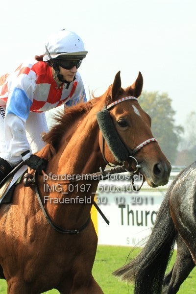 IMG 0197 600x400 prot