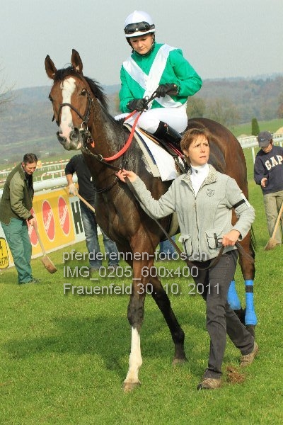 IMG 0205 600x400 prot
