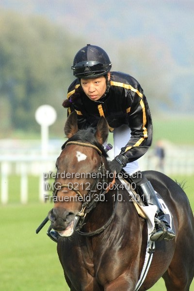 IMG 0212 600x400 prot