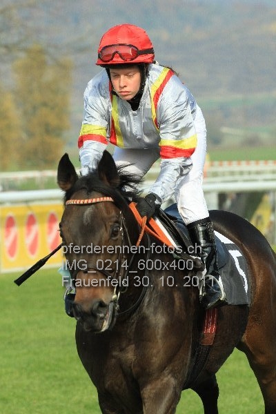 IMG 0214 600x400 prot