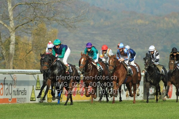 IMG 0235 600x400 prot