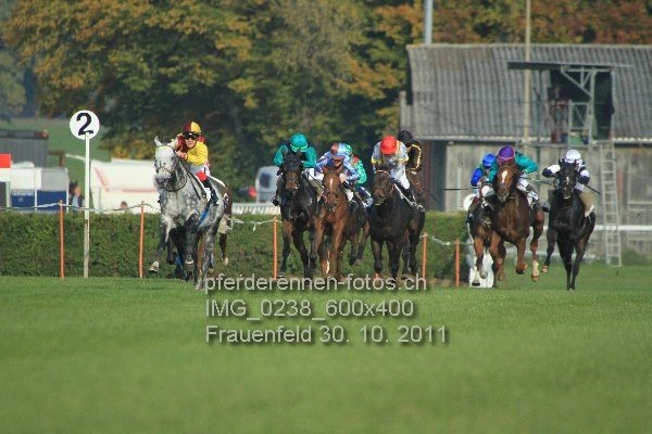 IMG 0238 600x400 prot