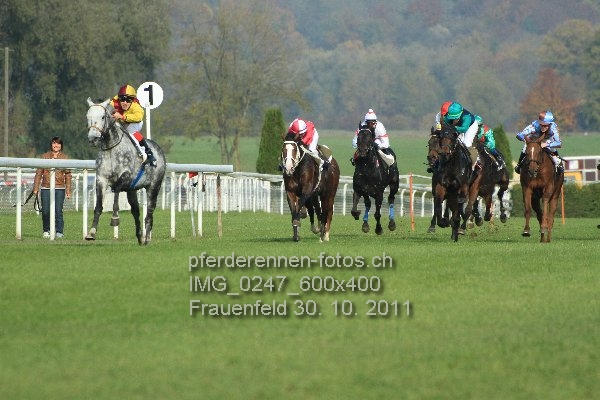 IMG 0247 600x400 prot