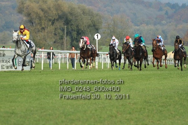 IMG 0248 600x400 prot