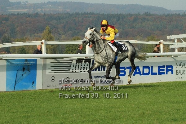 IMG 0258 600x400 prot