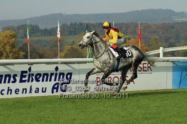 IMG 0262 600x400 prot