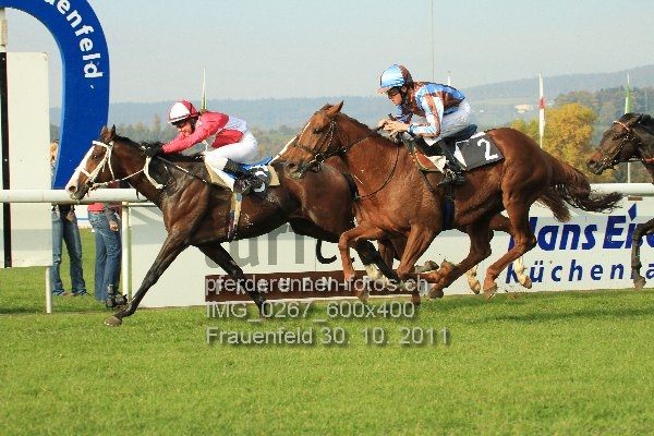 IMG 0267 600x400 prot