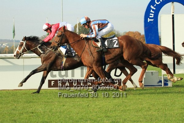 IMG 0270 600x400 prot
