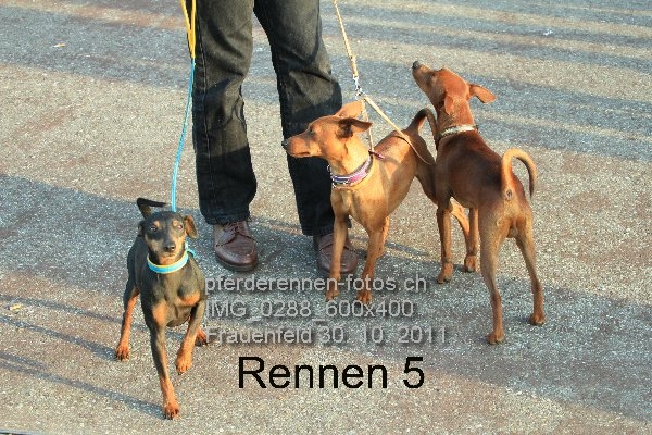IMG 0288 600x400 prot