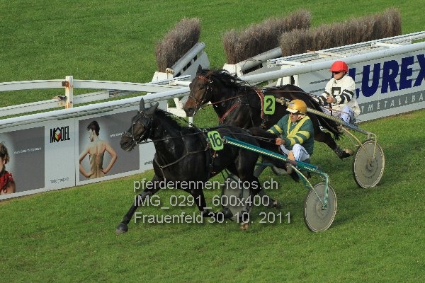 IMG 0291 600x400 prot