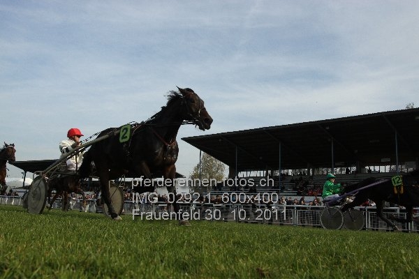 IMG 0292.1 600x400 prot