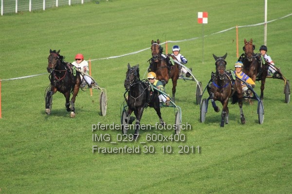 IMG 0297 600x400 prot