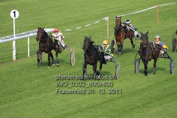 IMG 0302 600x400 prot
