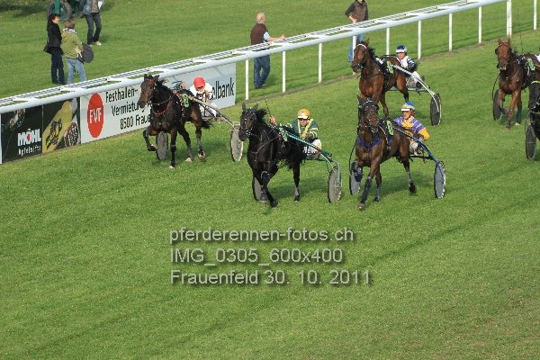 IMG 0305 600x400 prot