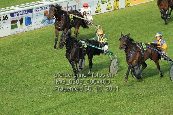 IMG 0309 600x400 prot