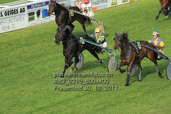 IMG 0310 600x400 prot