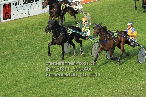 IMG 0311 600x400 prot