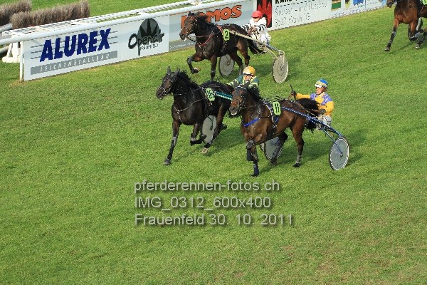 IMG 0312 600x400 prot