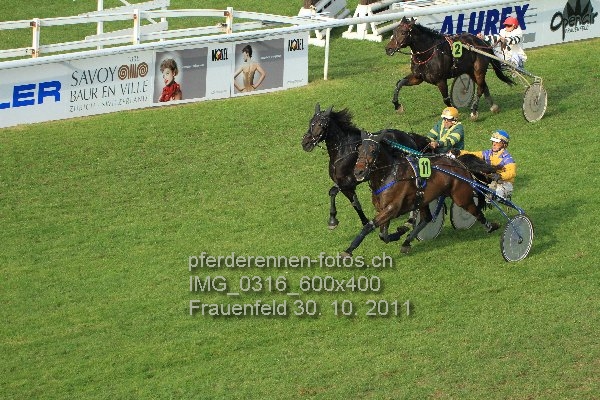 IMG 0316 600x400 prot