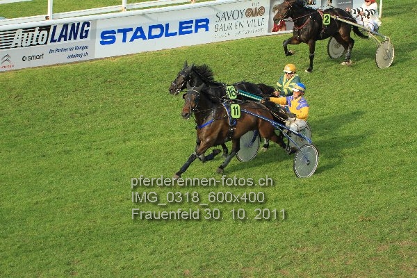 IMG 0318 600x400 prot
