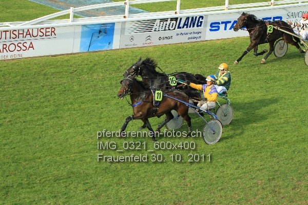 IMG 0321 600x400 prot