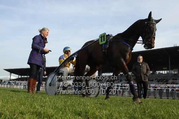 IMG 0330 600x400 prot