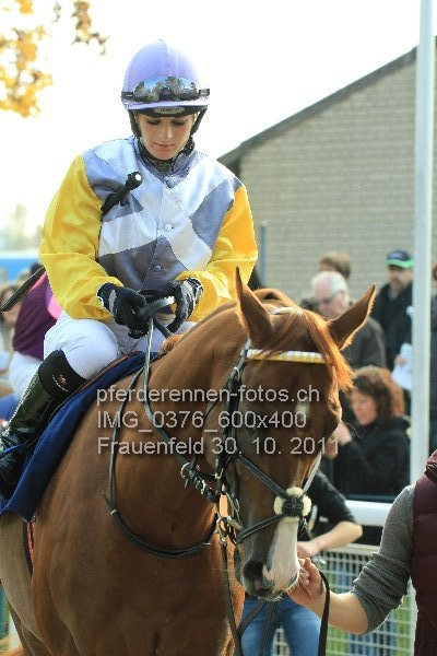 IMG 0376 600x400 prot