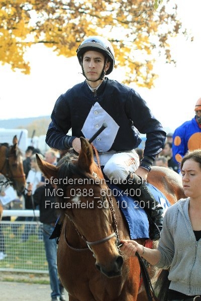 IMG 0388 600x400 prot