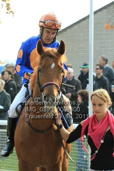 IMG 0392 600x400 prot