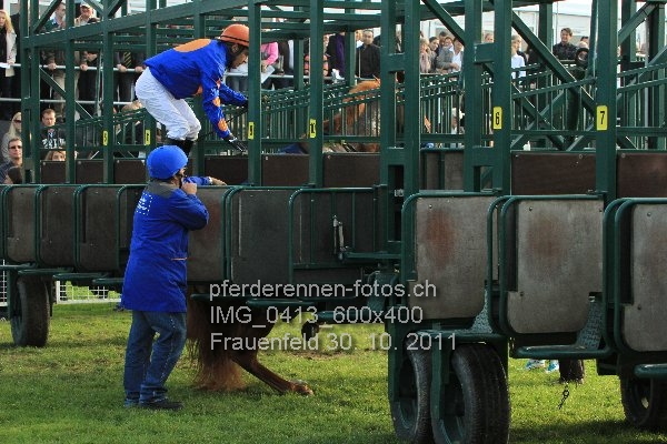 IMG 0413 600x400 prot