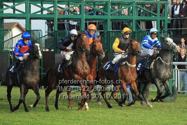 IMG 0422 600x400 prot