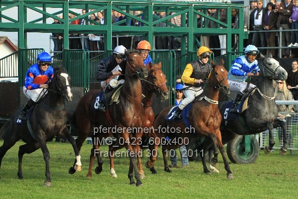 IMG 0423 600x400 prot