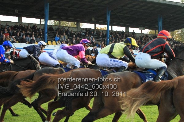 IMG 0442 600x400 prot