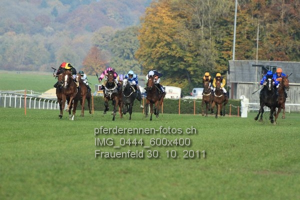 IMG 0444 600x400 prot