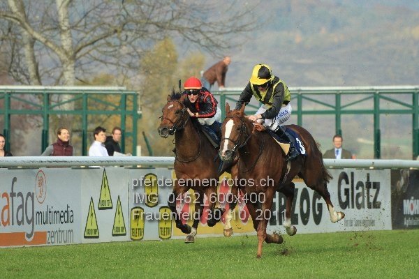IMG 0452 600x400 prot