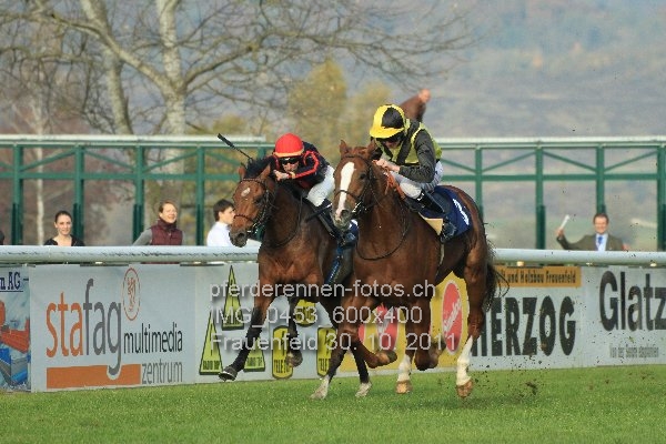 IMG 0453 600x400 prot